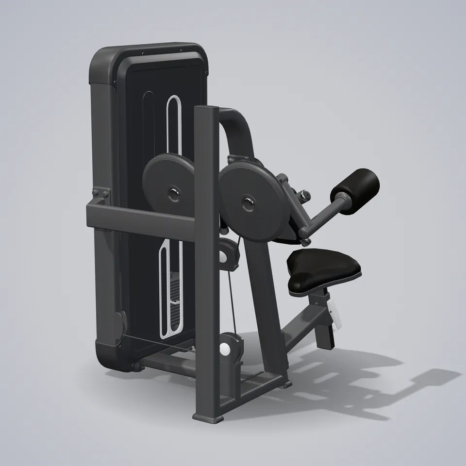 Lateral Raise A3005 — 3D visualization
