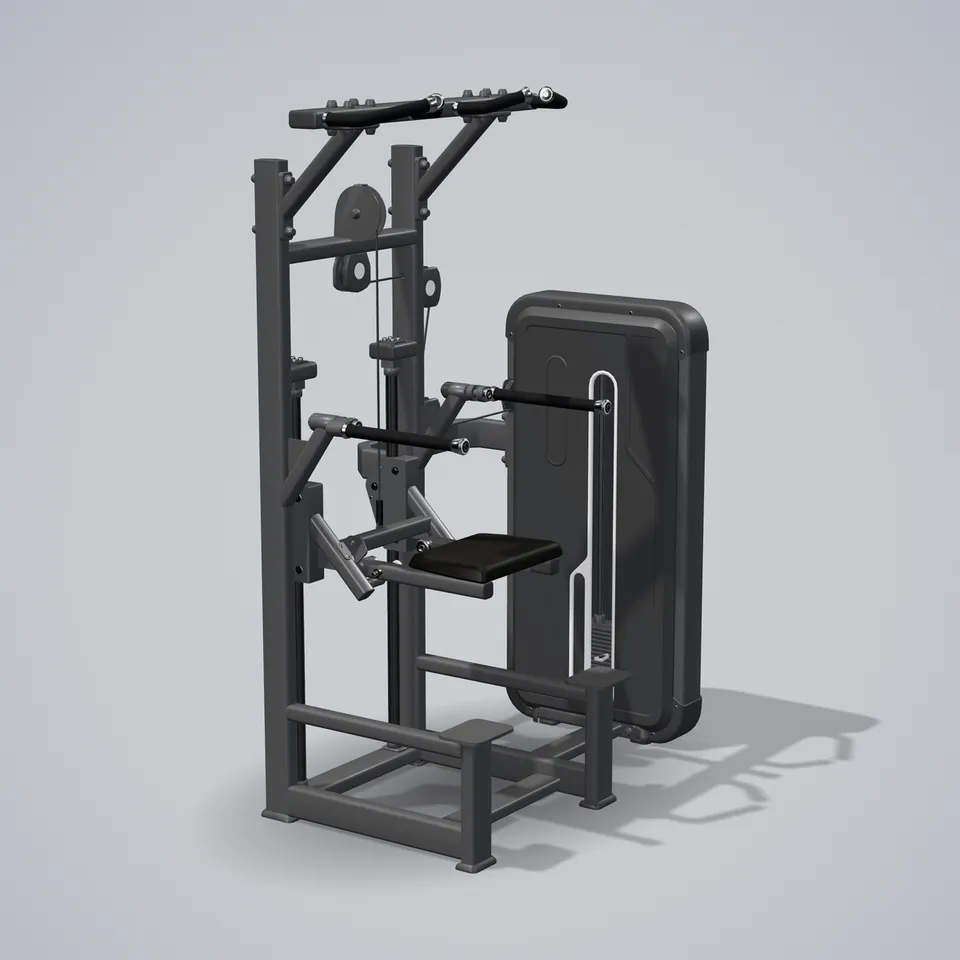 Dip / Chin Assist A3009 — 3D visualization