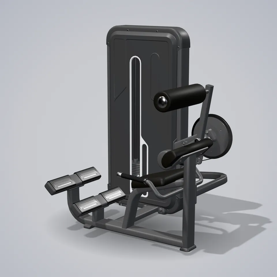 Back Extension A3031 — 3D visualization