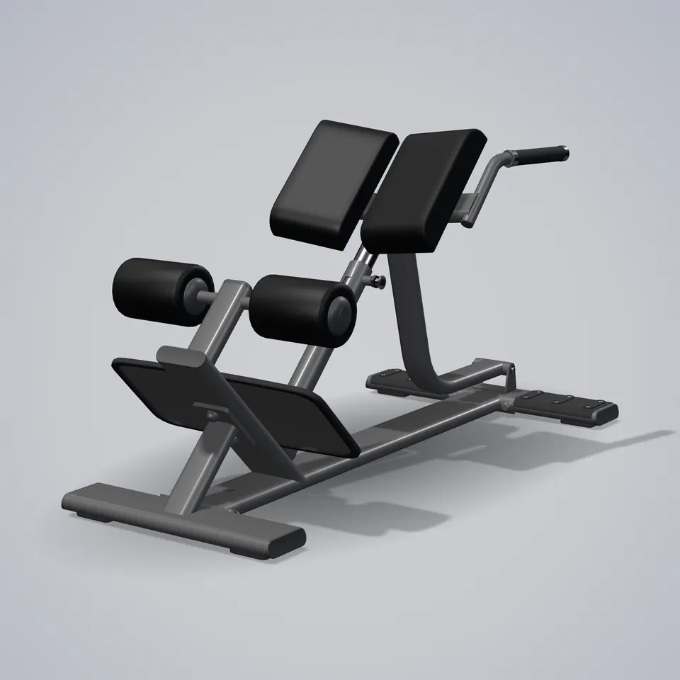 Back Extension E7045 — 3D visualization