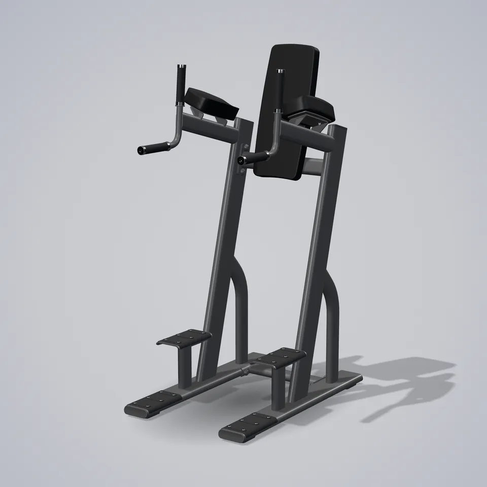 Vertical Knees Up Dip E7047 — 3D visualization